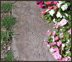 Grape Vine Concrete Border